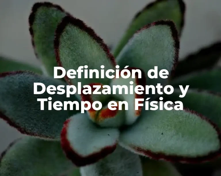Definición de Desplazamiento y Tiempo en Física