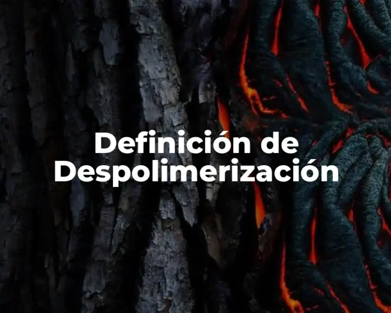 Definición de Despolimerización