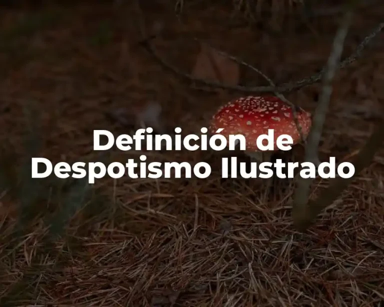 Definición de Despotismo Ilustrado
