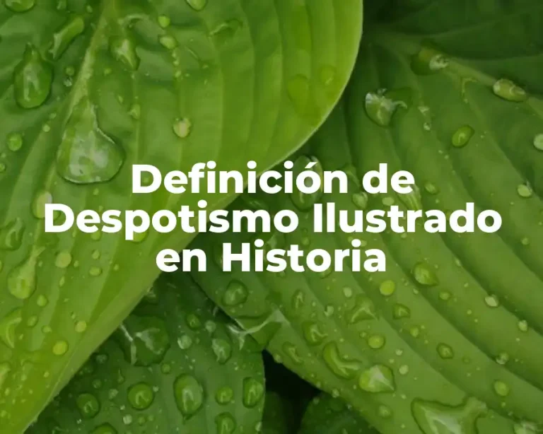 Definición de Despotismo Ilustrado en Historia
