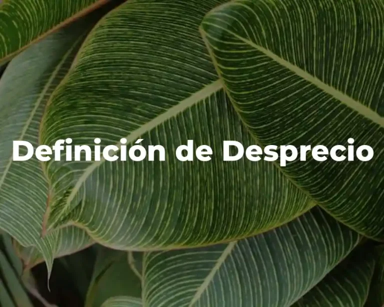 Definición de Desprecio