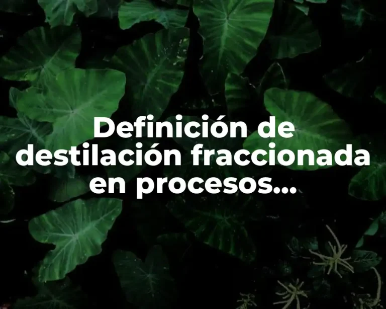 Definición de destilación fraccionada en procesos industriales