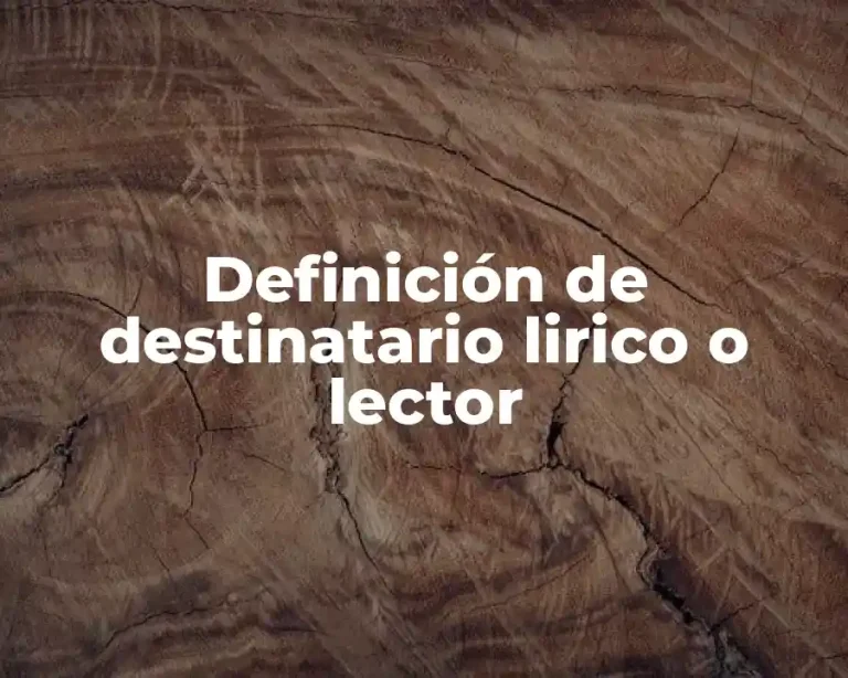 Definición de destinatario lirico o lector