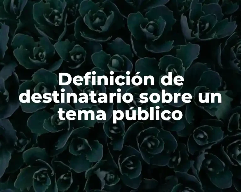 Definición de destinatario sobre un tema público