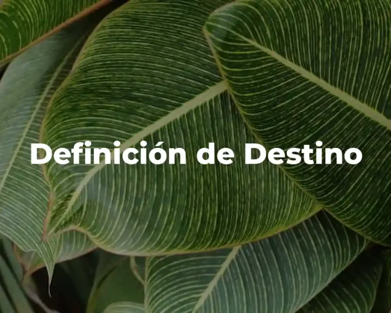 Definición de Destino