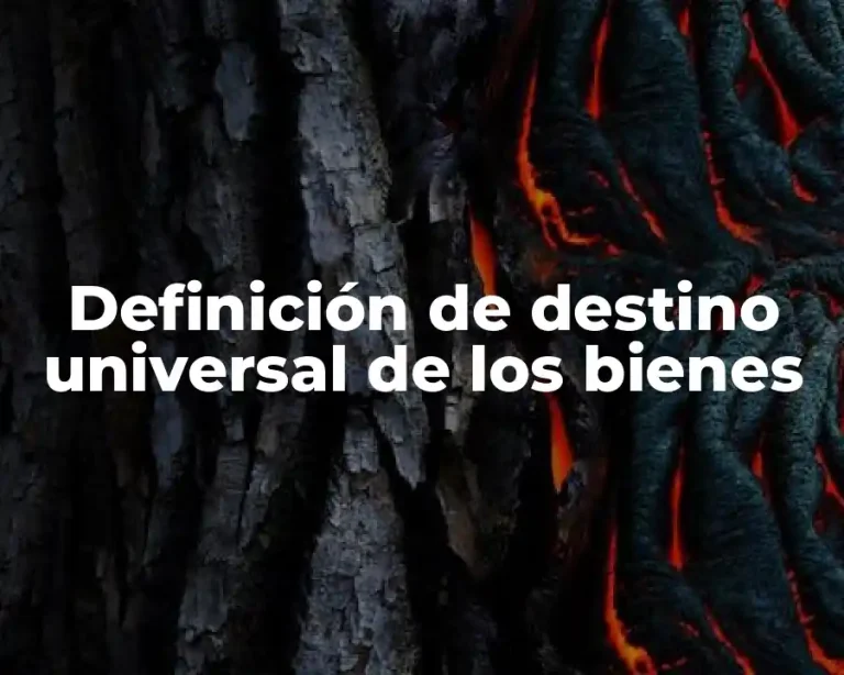 Definición de destino universal de los bienes