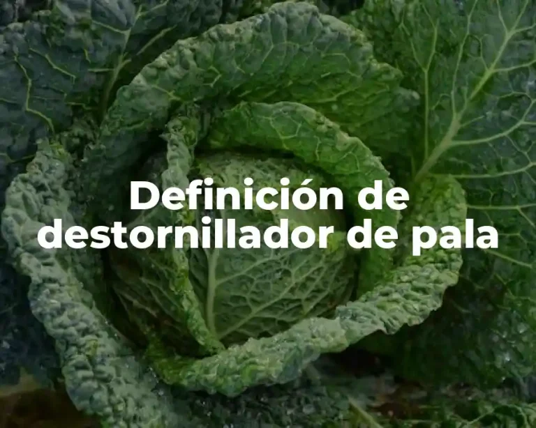 Definición de destornillador de pala
