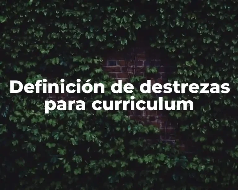 Definición de destrezas para curriculum