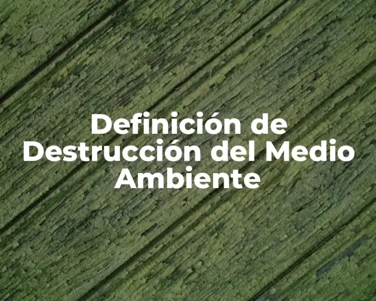 Definición de Destrucción del Medio Ambiente