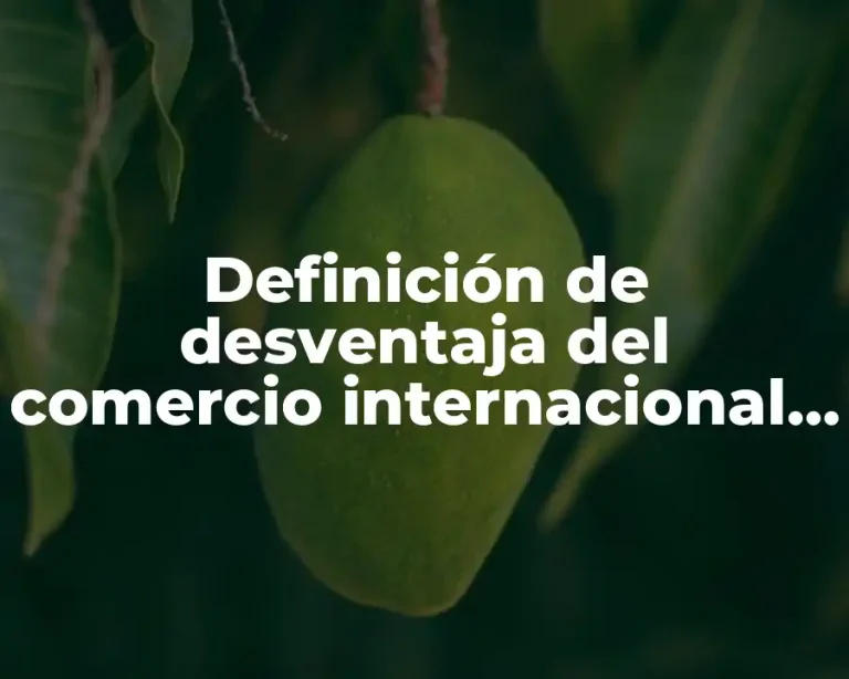Definición de desventaja del comercio internacional en la economía