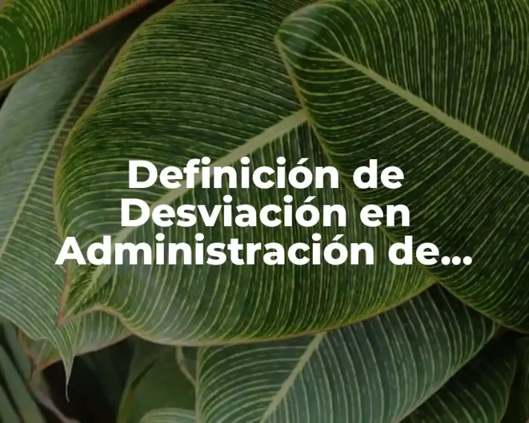 Definición de Desviación en Administración de Proyectos