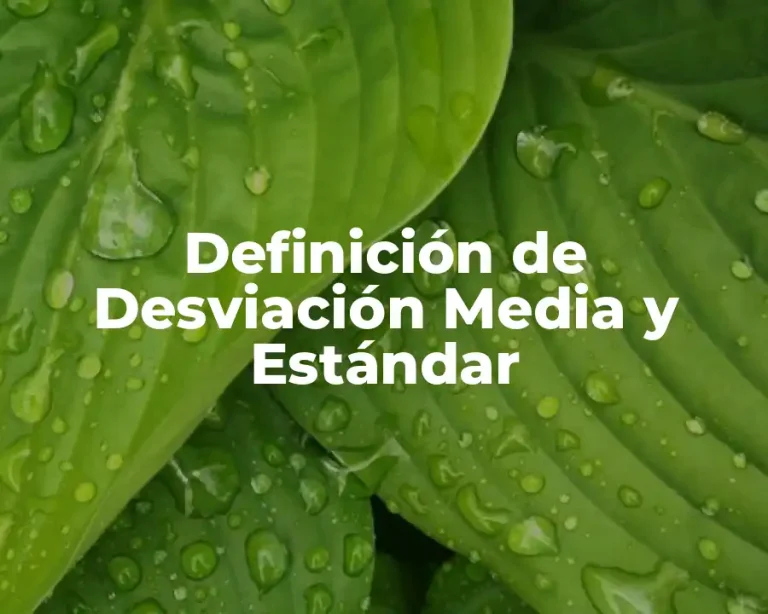Definición de Desviación Media y Estándar