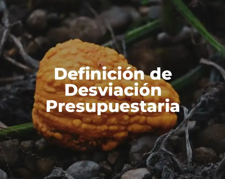 Definición de Desviación Presupuestaria