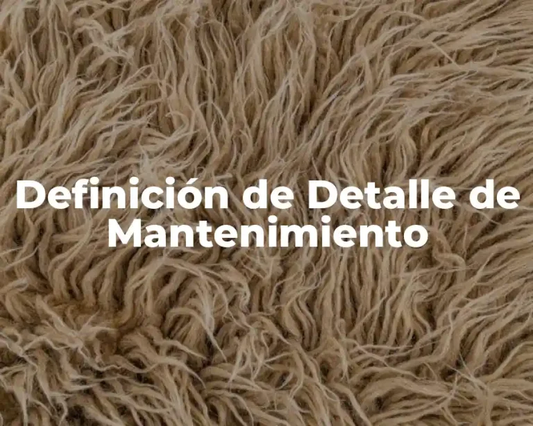 Definición de Detalle de Mantenimiento