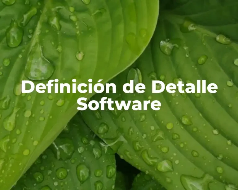 Definición de Detalle Software