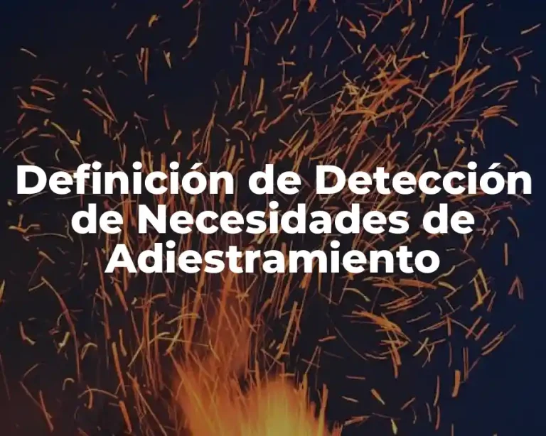 Definición de Detección de Necesidades de Adiestramiento