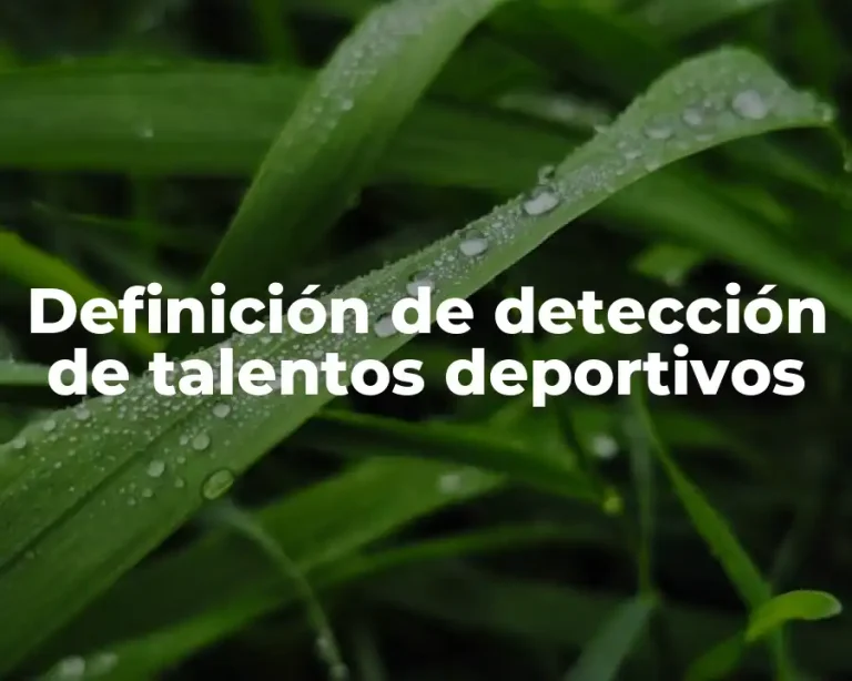 Definición de detección de talentos deportivos
