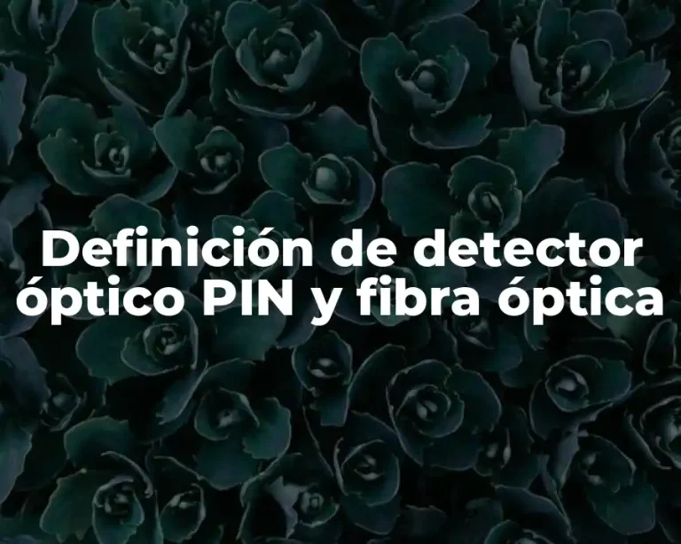 Definición de detector óptico PIN y fibra óptica