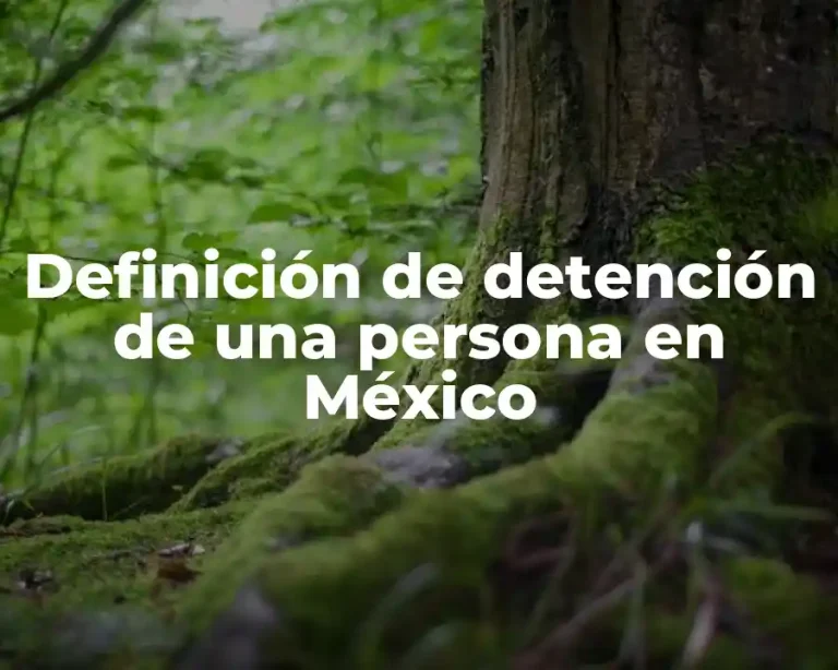 Definición de detención de una persona en México