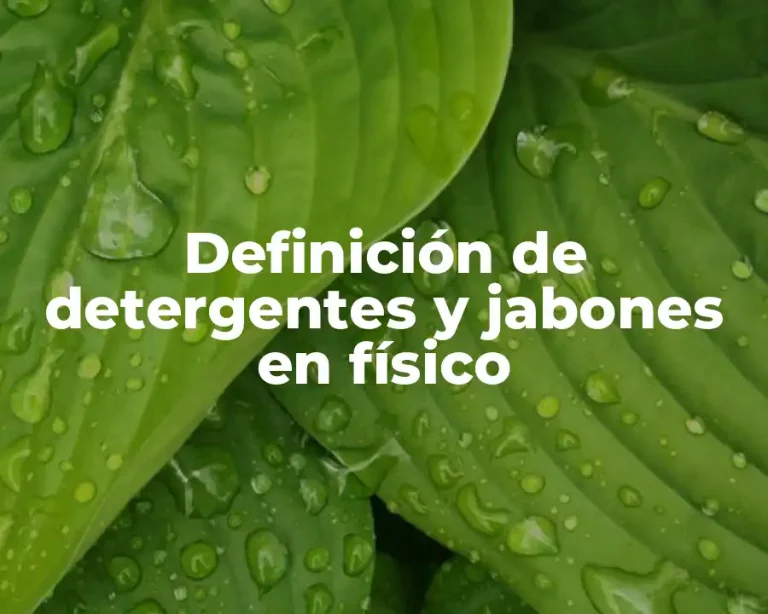 Definición de detergentes y jabones en físico