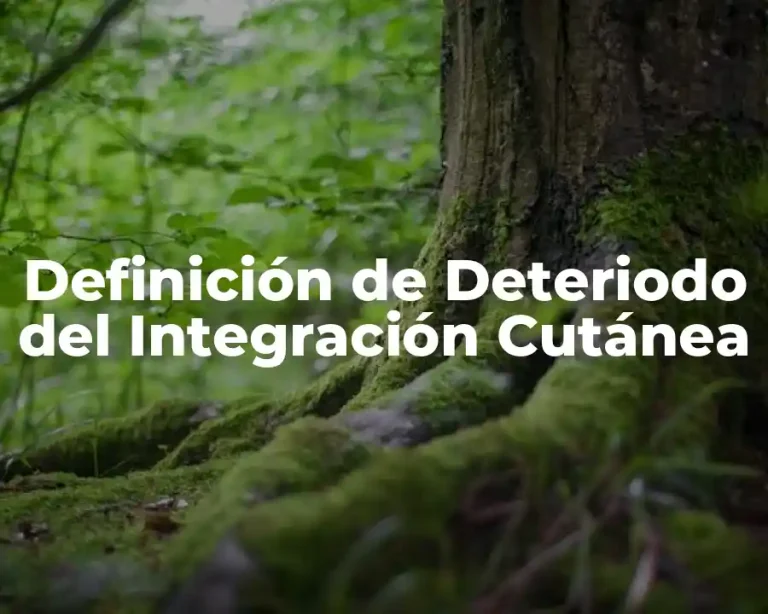 Definición de Deteriodo del Integración Cutánea