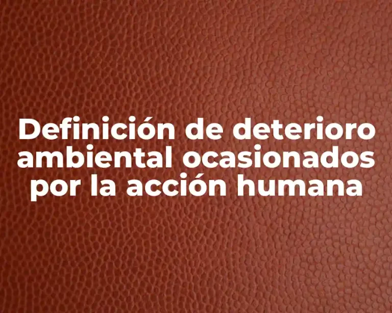 Definición de deterioro ambiental ocasionados por la acción humana