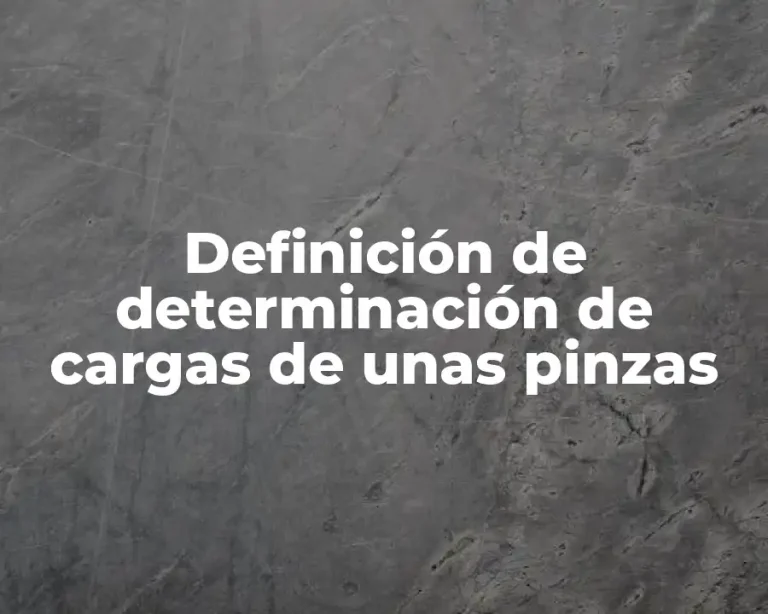 Definición de determinación de cargas de unas pinzas