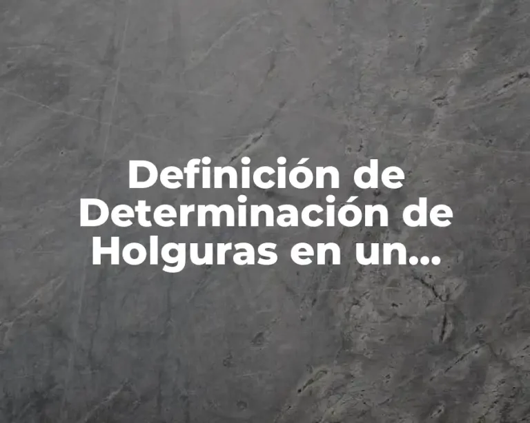 Definición de Determinación de Holguras en un Proyecto