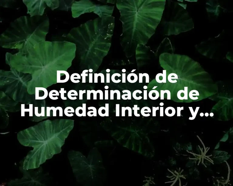 Definición de Determinación de Humedad Interior y Exterior
