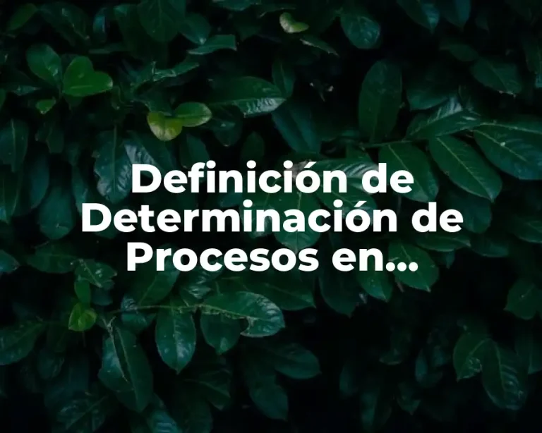 Definición de Determinación de Procesos en Administración