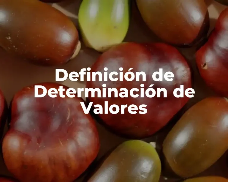 Definición de Determinación de Valores