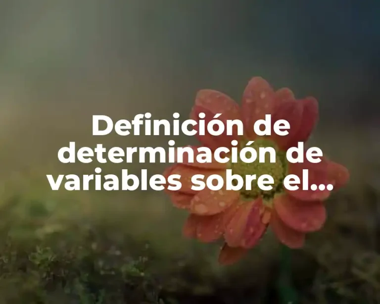 Definición de determinación de variables sobre el medio ambiente