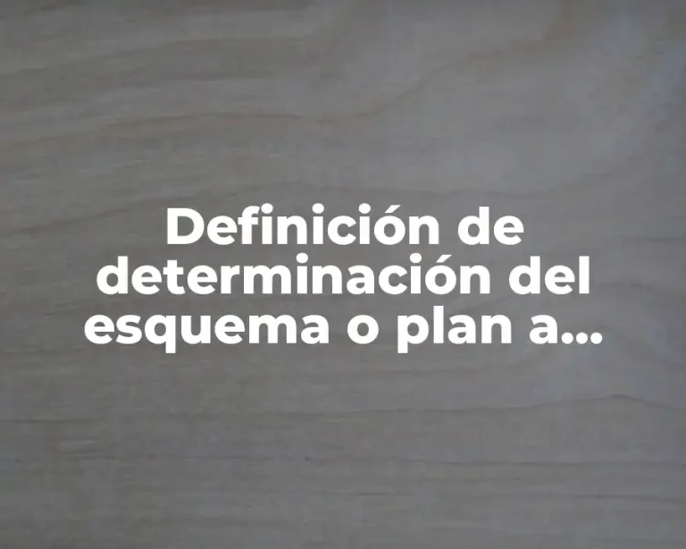 Definición de determinación del esquema o plan a seguir