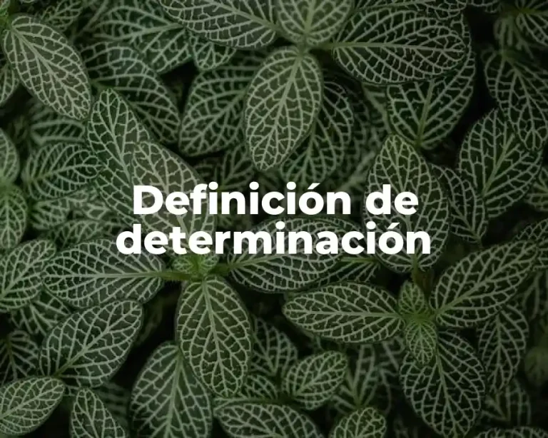 Definición de determinación
