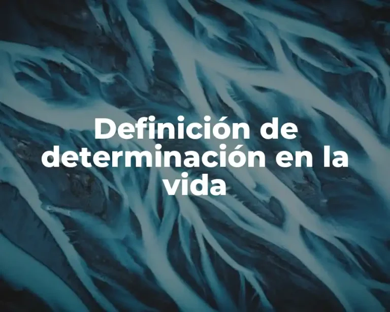 Definición de determinación en la vida