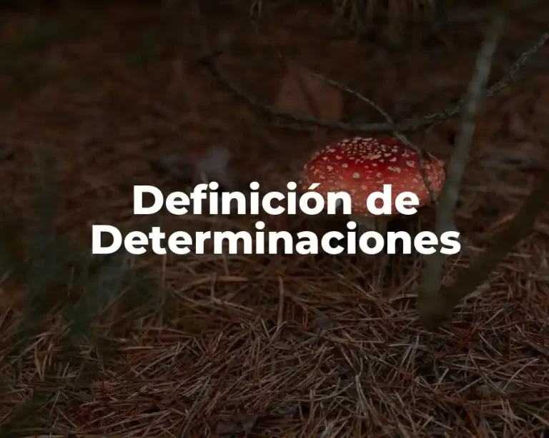 Definición de Determinaciones