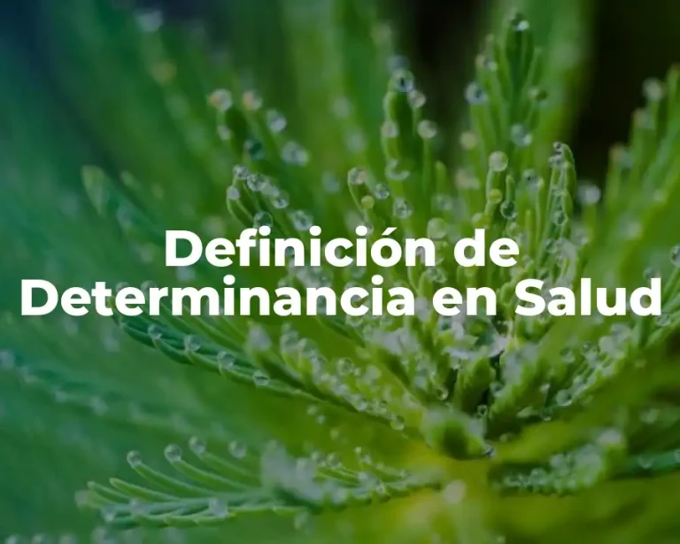 Definición de Determinancia en Salud