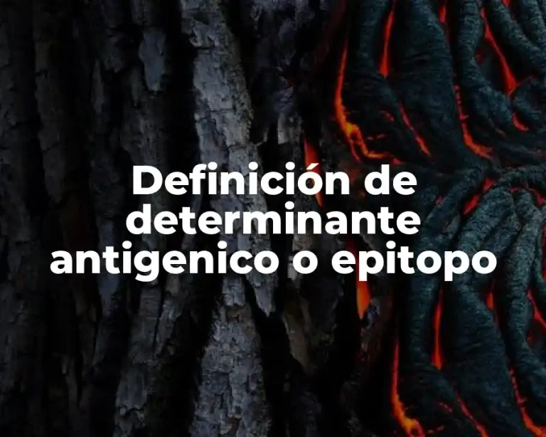 Definición de determinante antigenico o epitopo