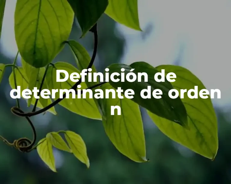 Definición de determinante de orden n