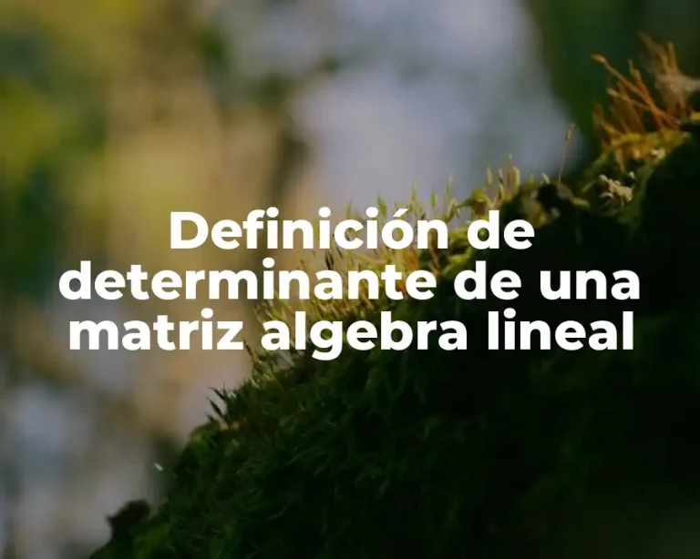 Definición de determinante de una matriz algebra lineal