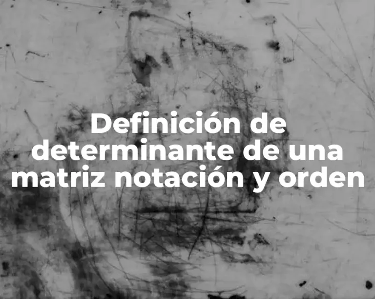 Definición de determinante de una matriz notación y orden