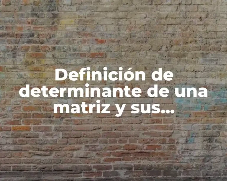 Definición de determinante de una matriz y sus propiedades
