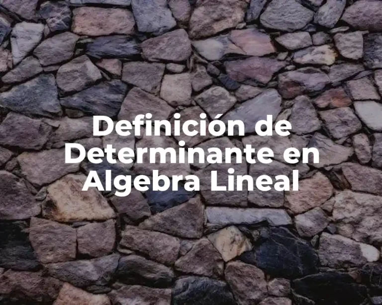 Definición de Determinante en Algebra Lineal