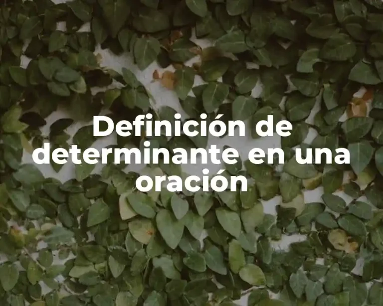 Definición de determinante en una oración