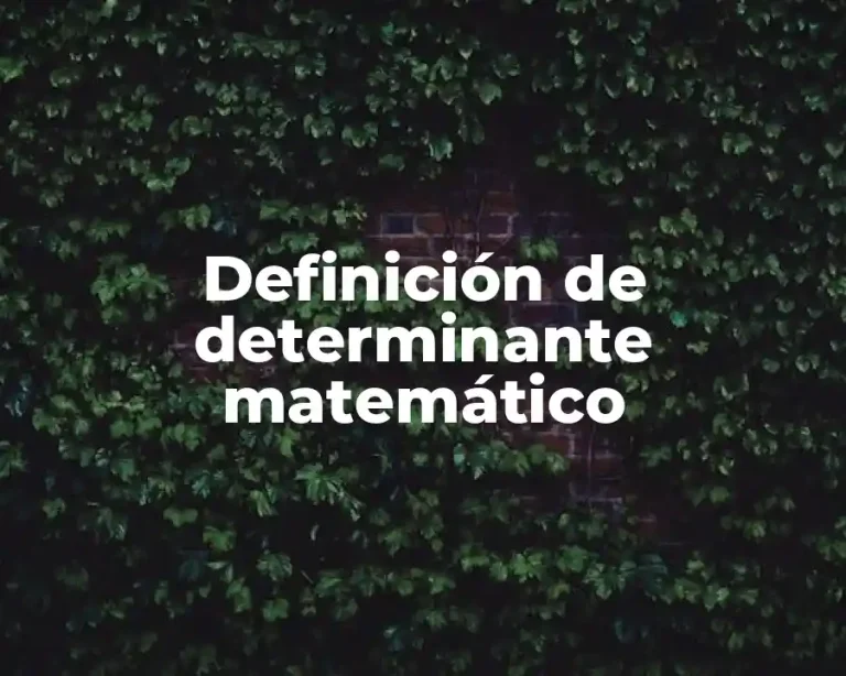 Definición de determinante matemático