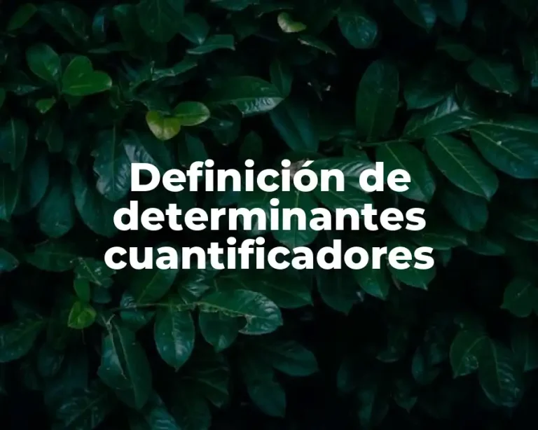 Definición de determinantes cuantificadores
