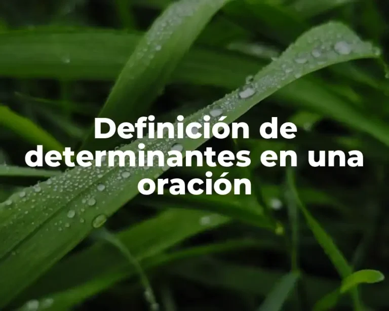 Definición de determinantes en una oración