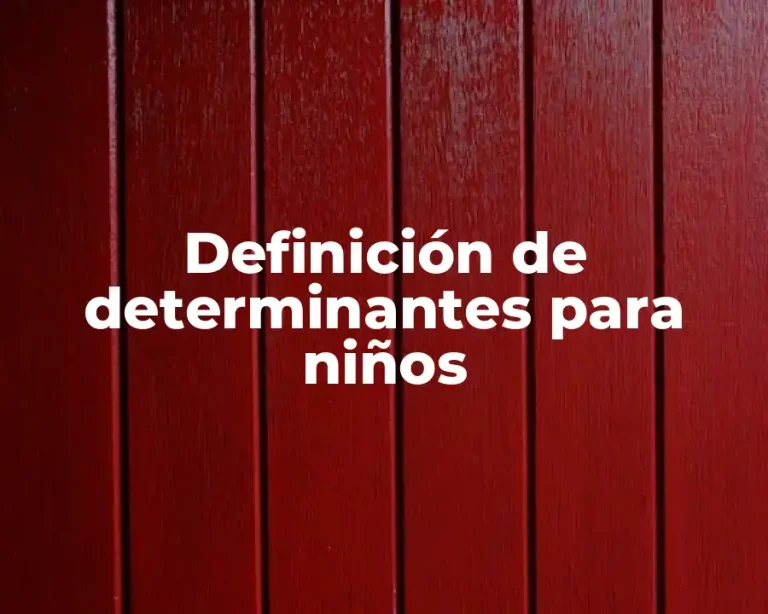 Definición de determinantes para niños