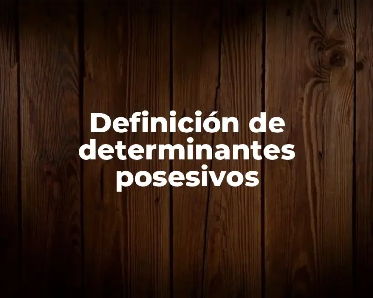 Definición de determinantes posesivos