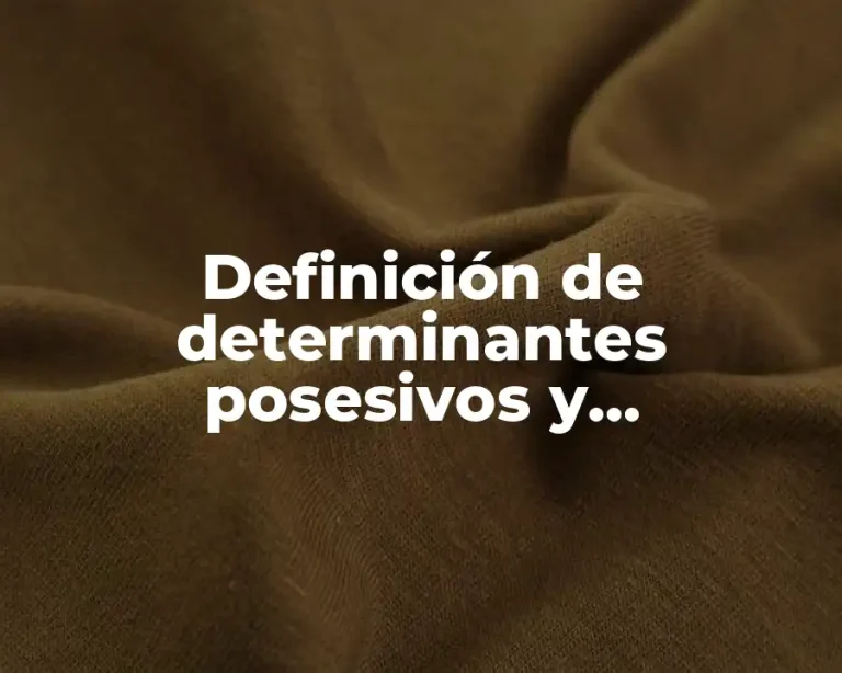 Definición de determinantes posesivos y demostrativos